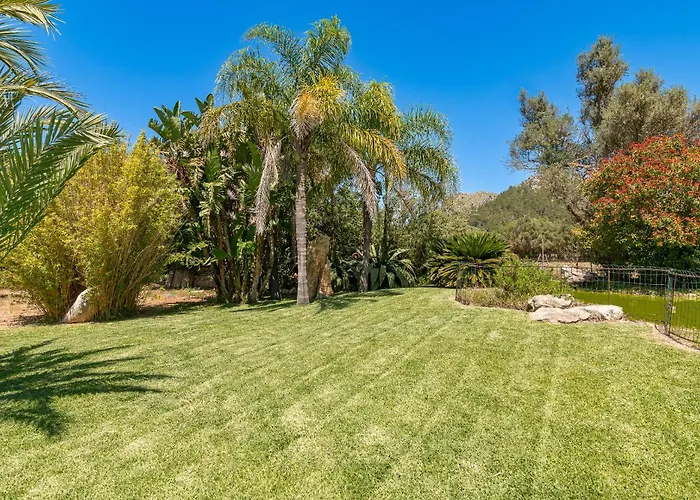 Cuxach Paco By Sealand * Польенса