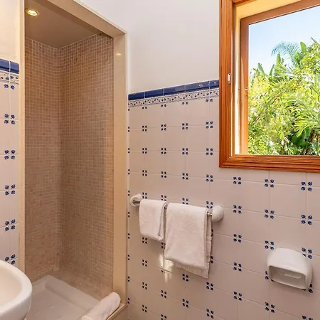 Cuxach Paco By Sealand