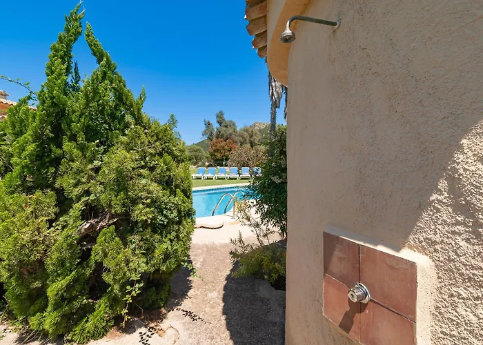 Cuxach Paco By Sealand *