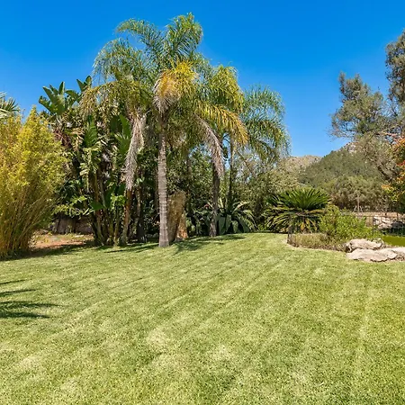 Cuxach Paco By Sealand * Pollença